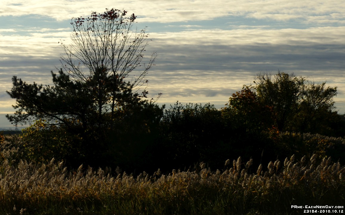 23184RoCrLe - Autumn farm along Taunton Road
